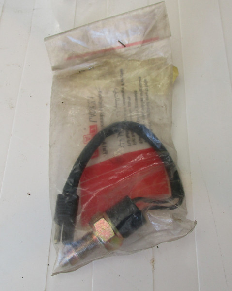 Reversing Light Switch